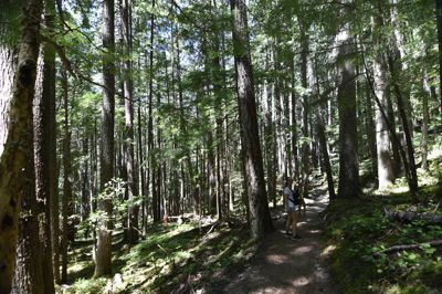 DSC_6268.JPG