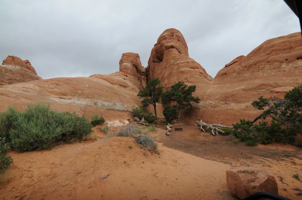 DSC_2311.JPG