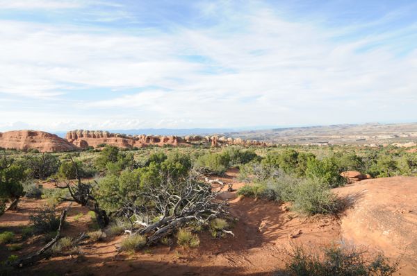 DSC_2428.JPG