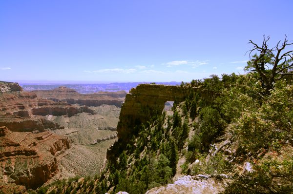 DSC_2890.JPG