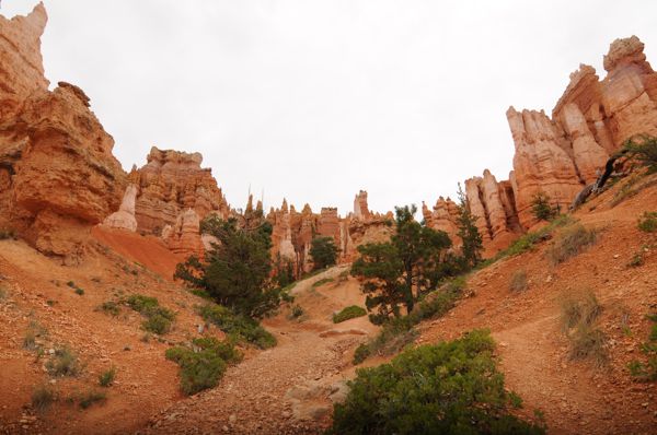 DSC_3216.JPG