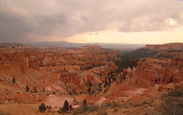 DSC_3916-2.jpg