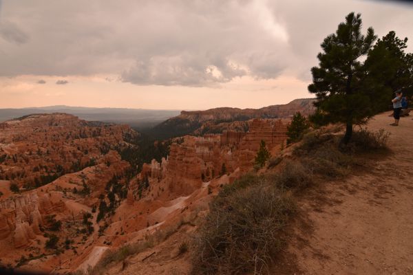 DSC_3917.JPG