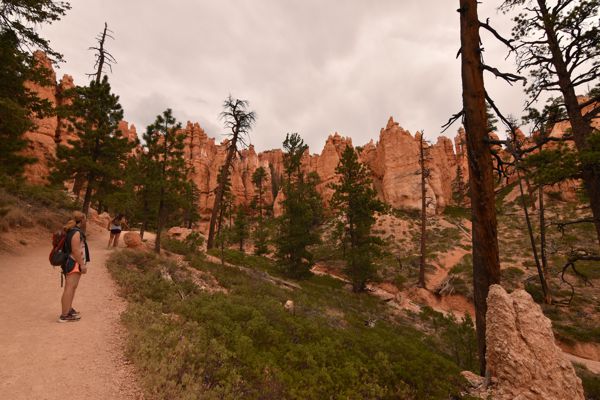 DSC_3954.JPG