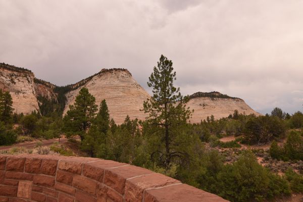 DSC_3997.JPG