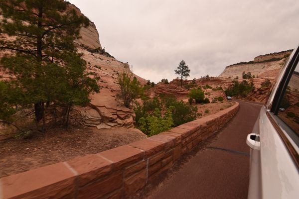 DSC_4004.JPG