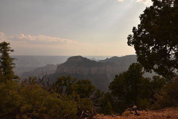 DSC_4115.JPG