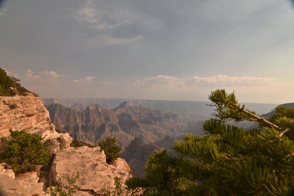 DSC_4129.JPG
