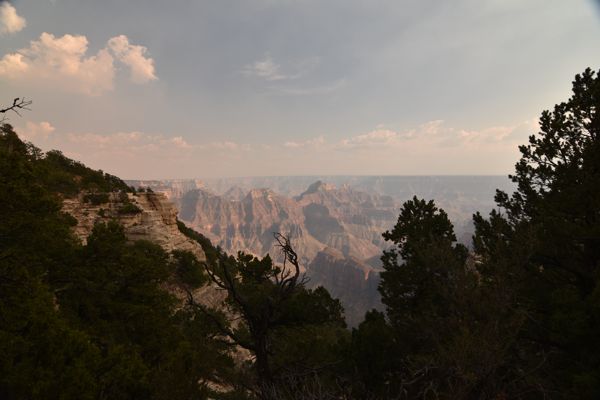 DSC_4147.JPG
