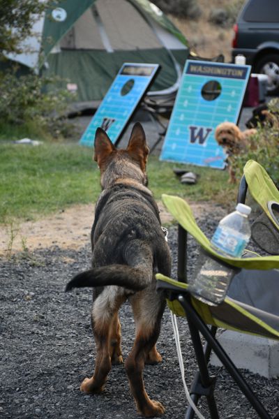 DSC_0057.JPG