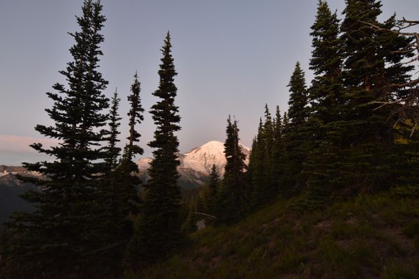 DSC_4626.JPG