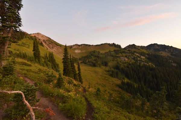 DSC_4627.JPG