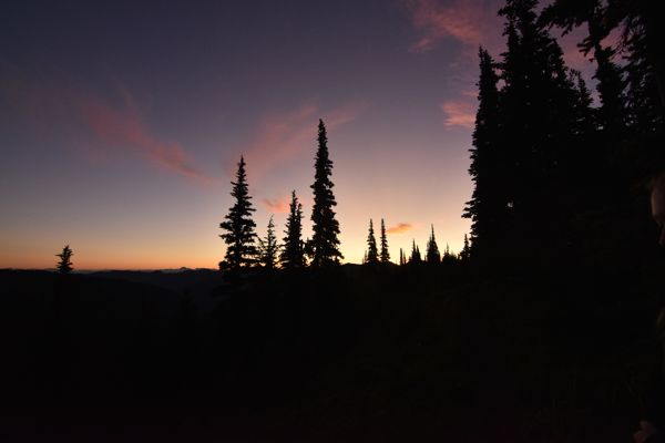 DSC_4630.JPG