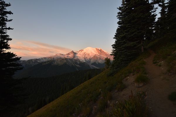 DSC_4653.JPG