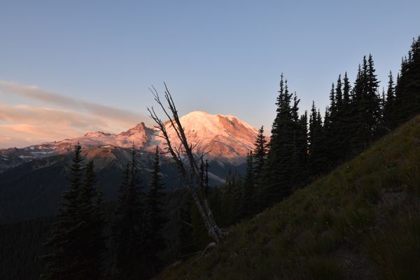 DSC_4657.JPG