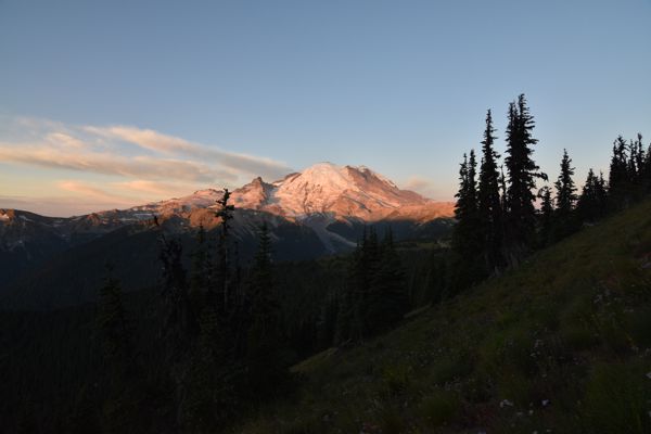 DSC_4671.JPG