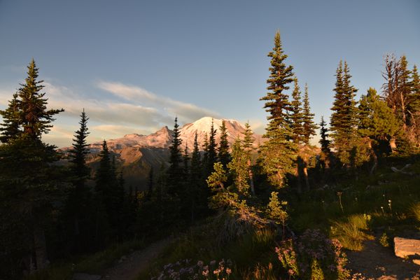 DSC_4689.JPG