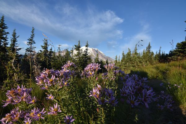 DSC_4728.JPG