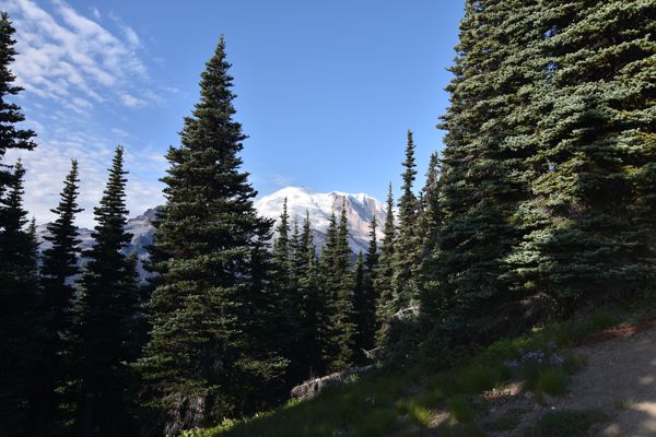 DSC_4764.JPG