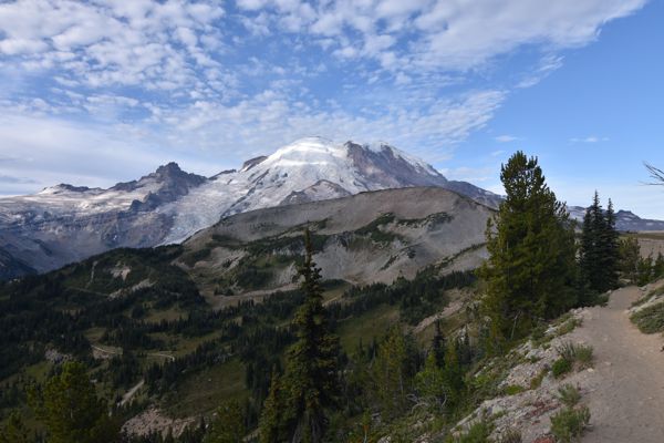 DSC_4770.JPG
