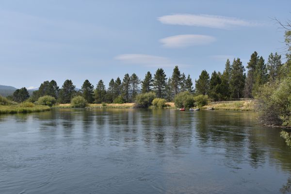 DSC_0001.jpg