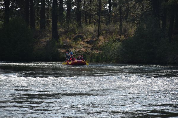 DSC_0055.jpg