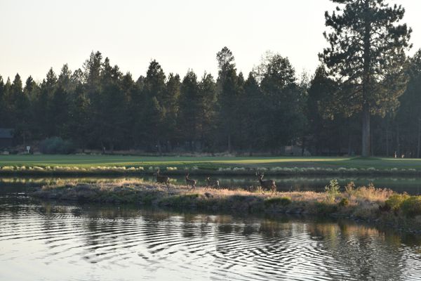DSC_0100.JPG