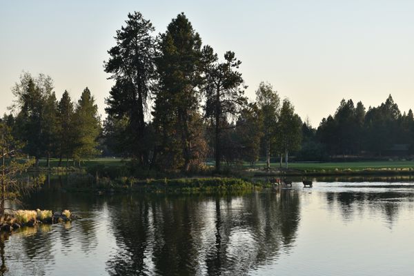 DSC_0114.jpg
