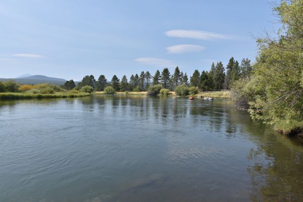 DSC_9994.jpg