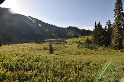 DSC_5501.JPG