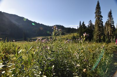 DSC_5506.JPG