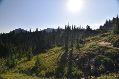 DSC_5519.JPG