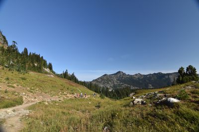 DSC_5522.JPG