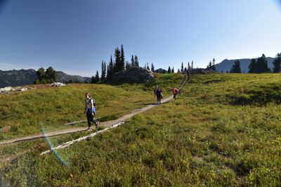 DSC_5529.JPG