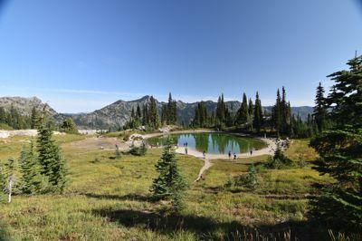 DSC_5530.JPG