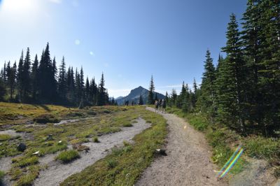 DSC_5550.JPG