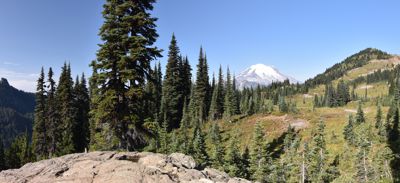 DSC_5563-DSC_5566.jpg