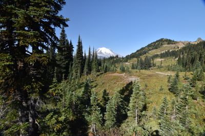 DSC_5574.JPG