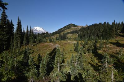 DSC_5575.JPG