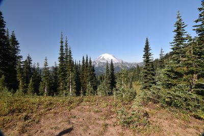 DSC_5579.JPG