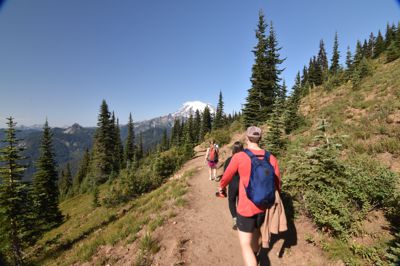 DSC_5584.JPG