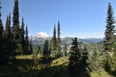 DSC_5590.JPG