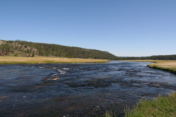 img_4375.jpg