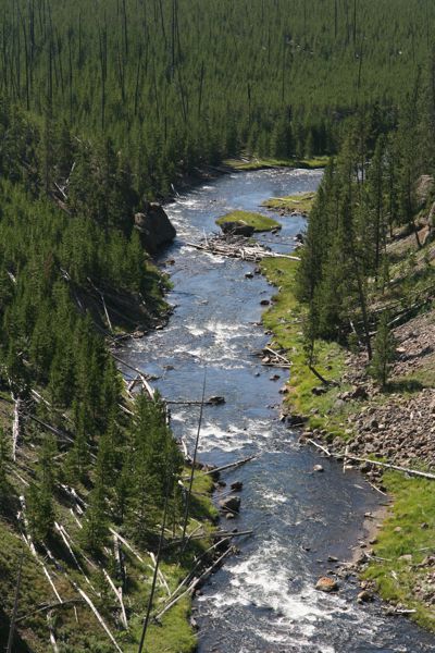img_4631.jpg