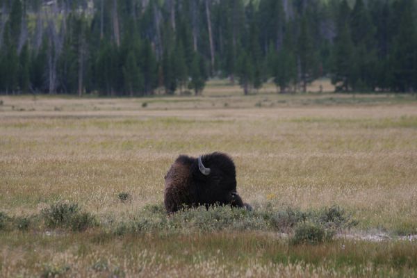 img_4851.jpg