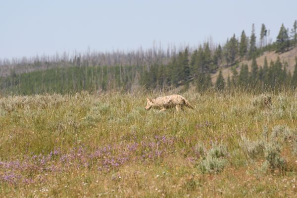 img_4864.jpg
