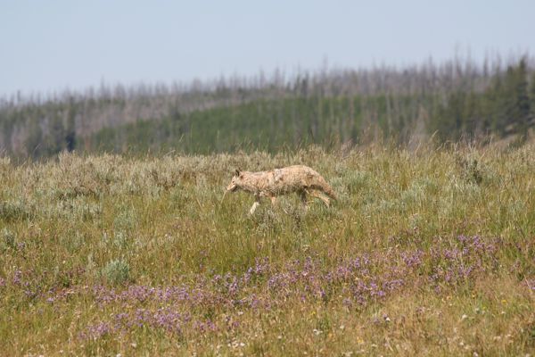 img_4866.jpg