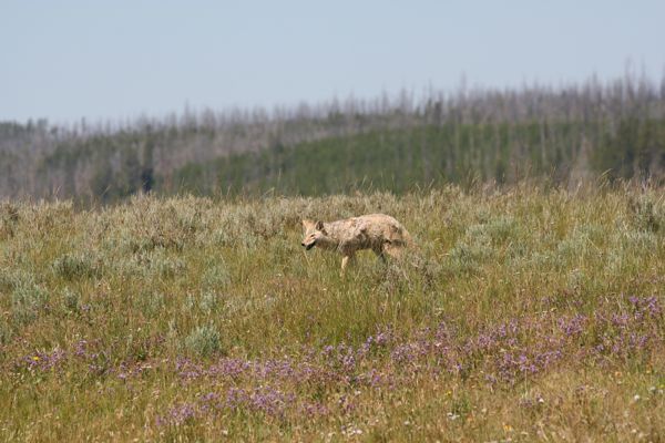 img_4867.jpg