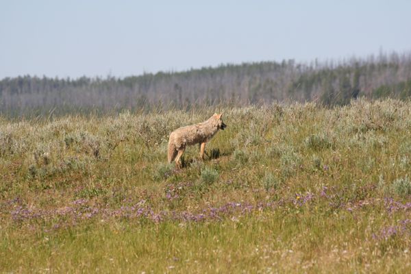 img_4876.jpg