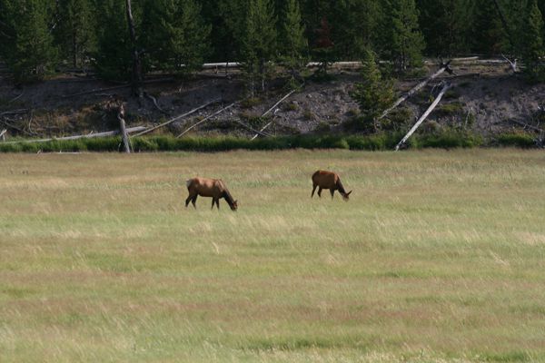 img_5052.jpg